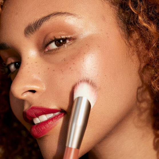 ROSE INC THE COMPLEXION BRUSH GIFT SET